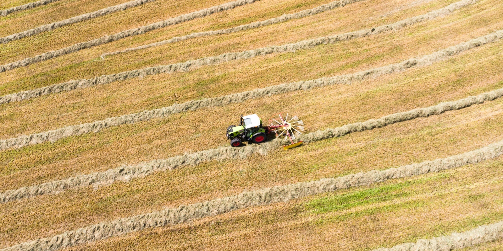 Étudier la Psychologie en Licence Sciences Sociales