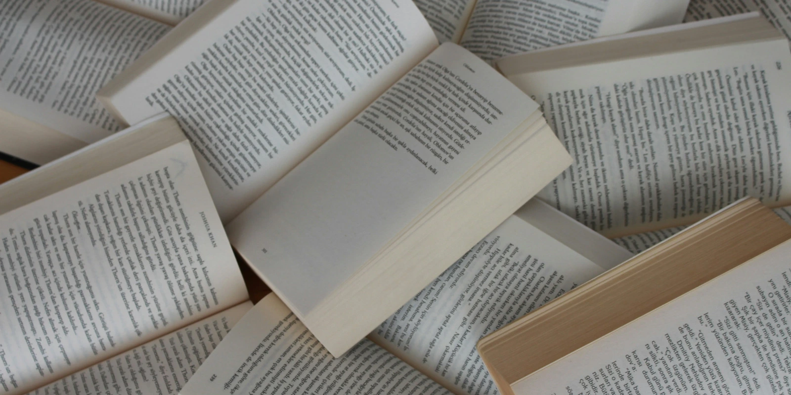 L'Importance des Sciences Sociales en Entreprise