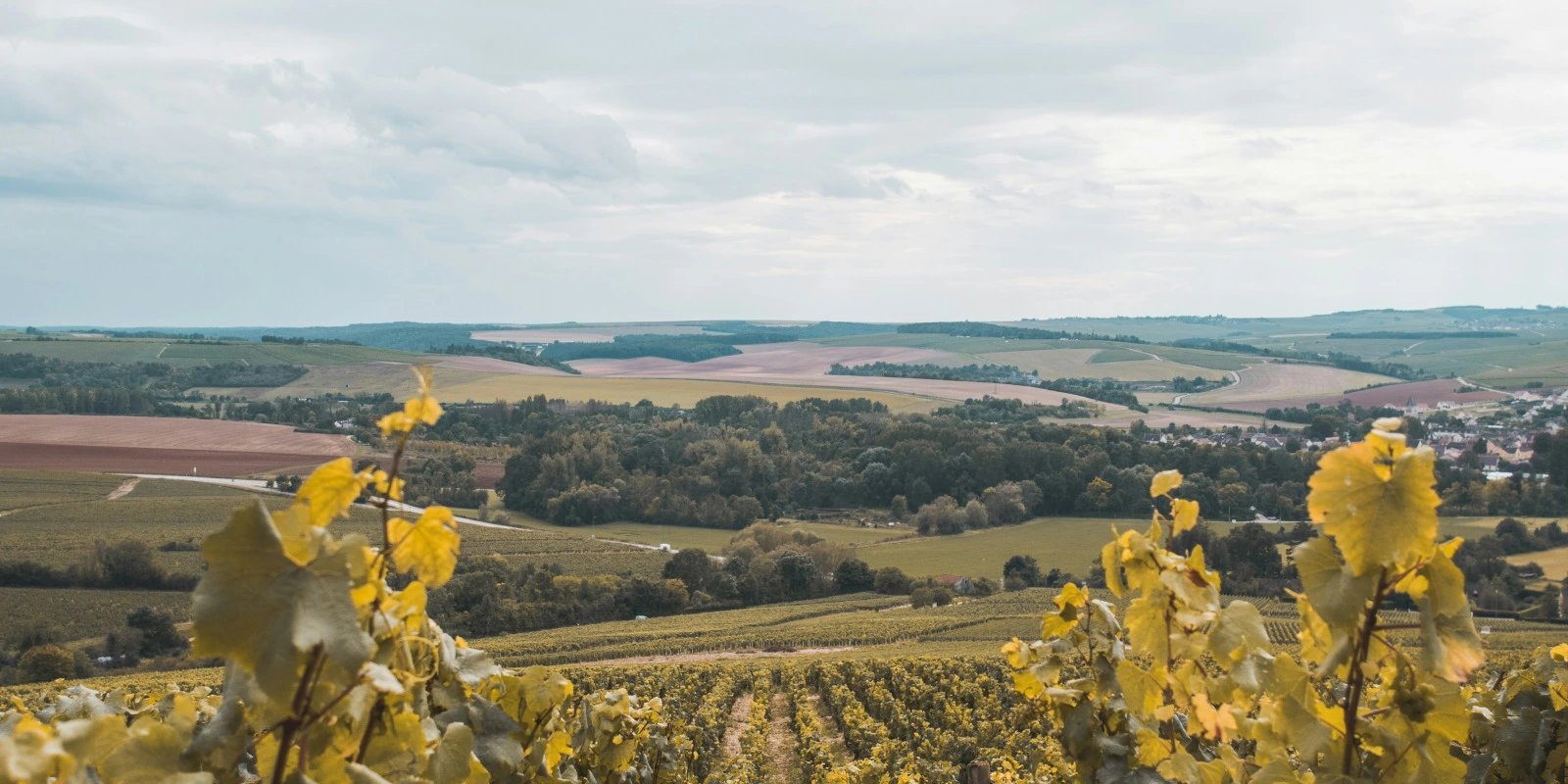 La Licence 2S (Sciences Sociales) à Paris Cité