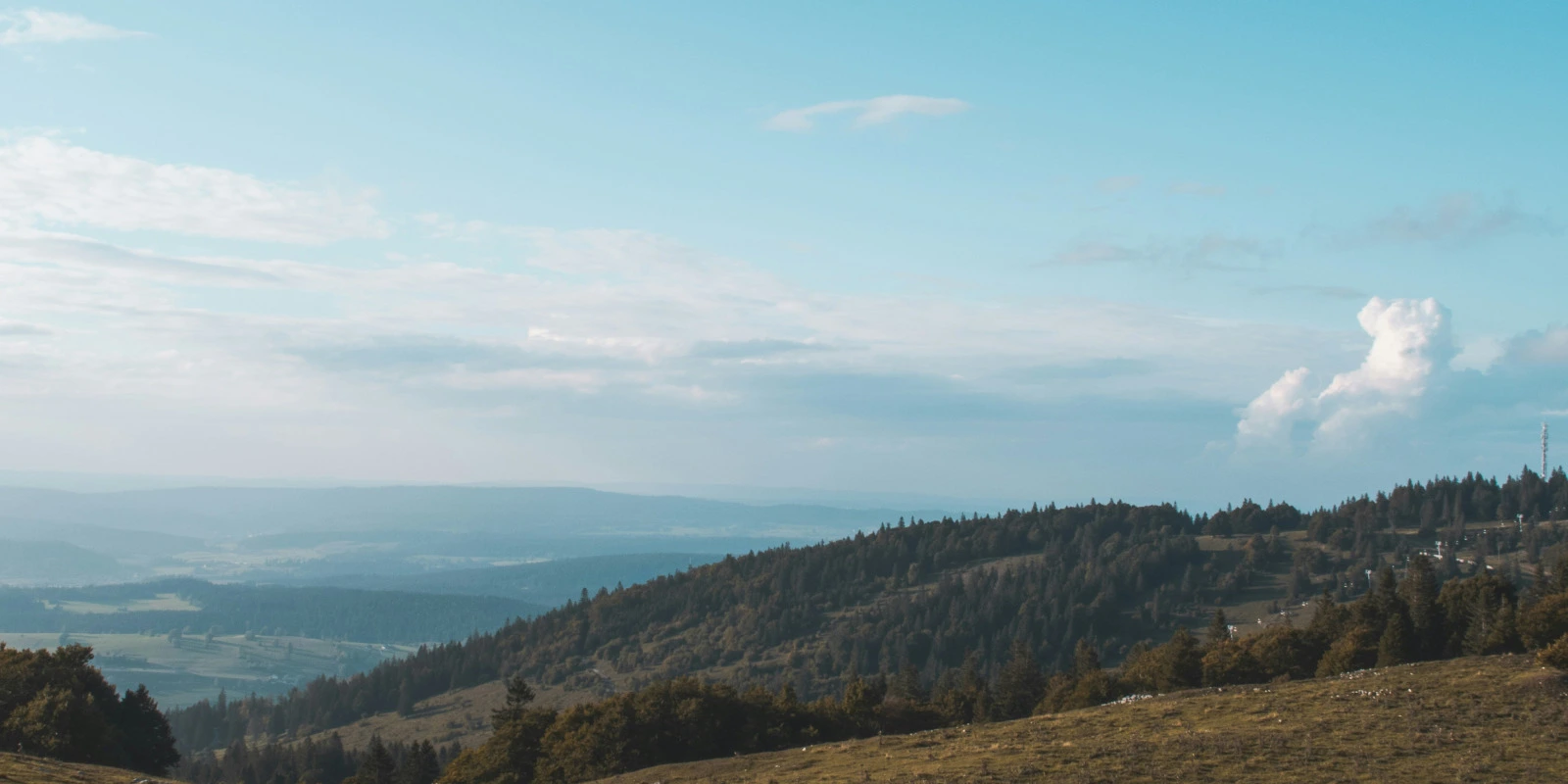 Les Droits de l'Homme en Licence Sciences Sociales