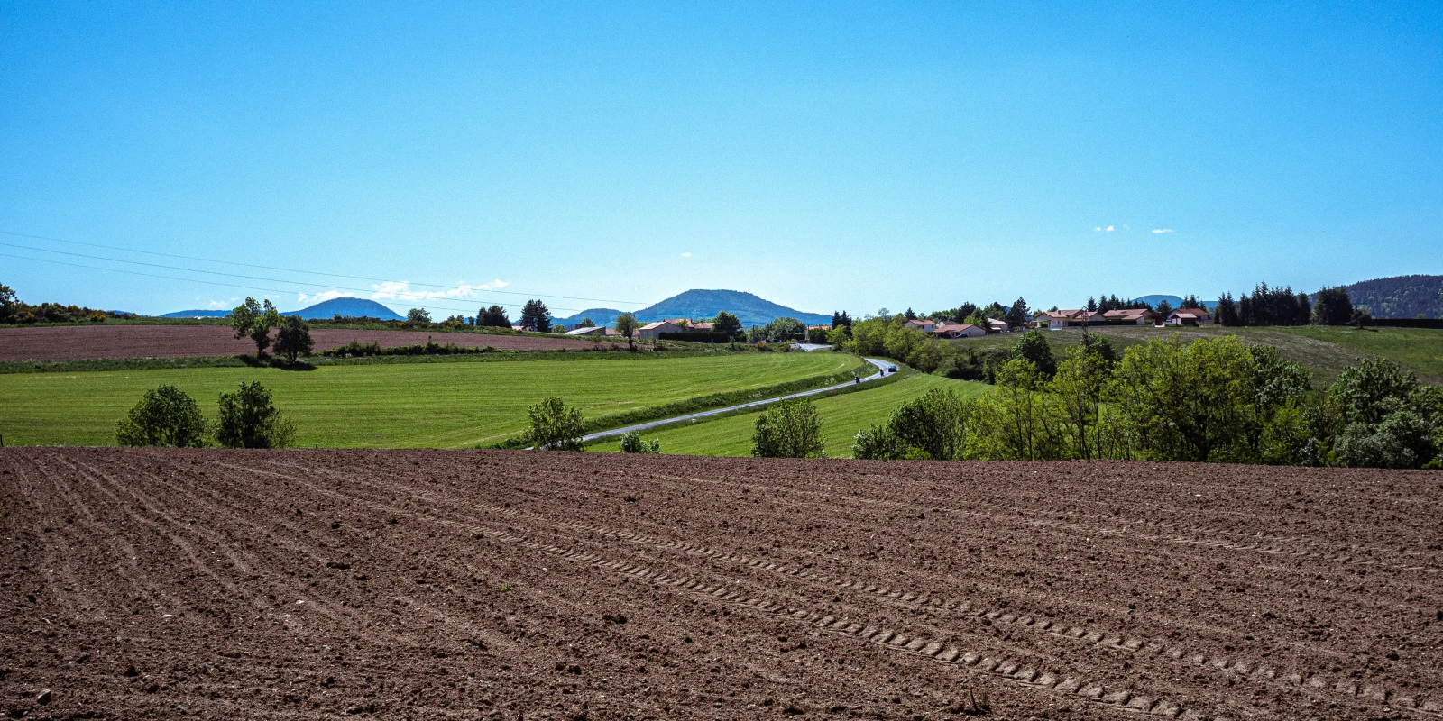 Les Sciences Sociales et les Enjeux Actuels de la Société