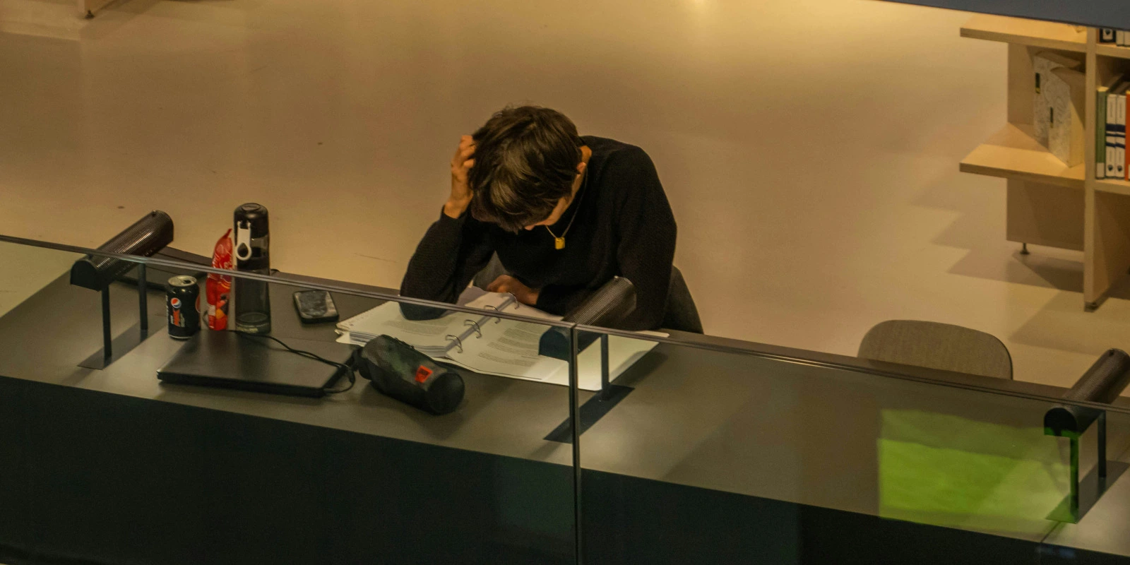 Licence Sciences Sociales et Économie