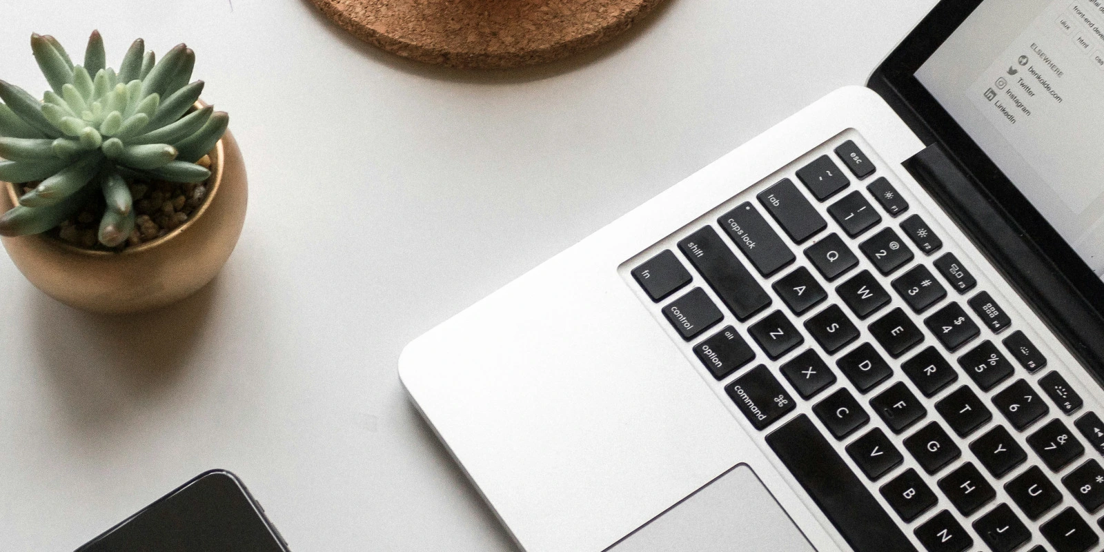 Licence Sciences Sociales et Insertion Professionnelle