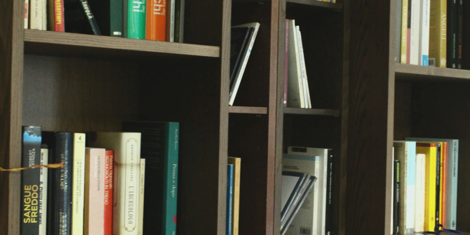 Pourquoi Choisir Une Licence en Sciences Sociales