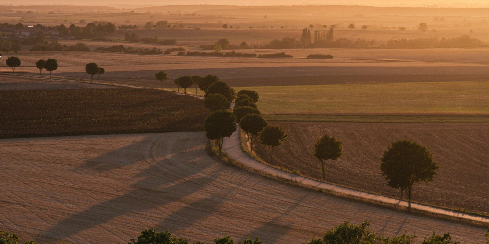 Sciences Sociales et Interventions Sociales